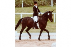 BS_Galerie_01_006