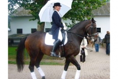 BS_Galerie_01_065