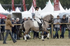 BS_Galerie_01_136