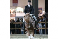 BS_Galerie_01_176