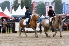 BS_Galerie_01_184