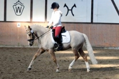 BS_Galerie_01_240